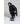 Charger l'image dans la galerie, Poncho - Snakes