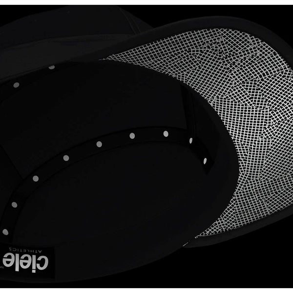 GOCap - DFL - Whitaker