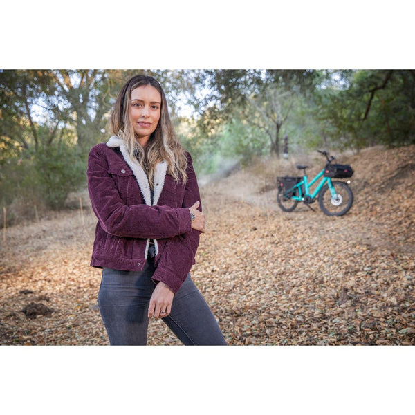 BOOST - CADRE "REGULAR", COULEUR ANTHRACITE GREY, MOTEUR BOSCH PERFORMANCE CX & BATTERIE 500 Wh