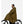 Charger l'image dans la galerie, PONCHO - PLANTATION