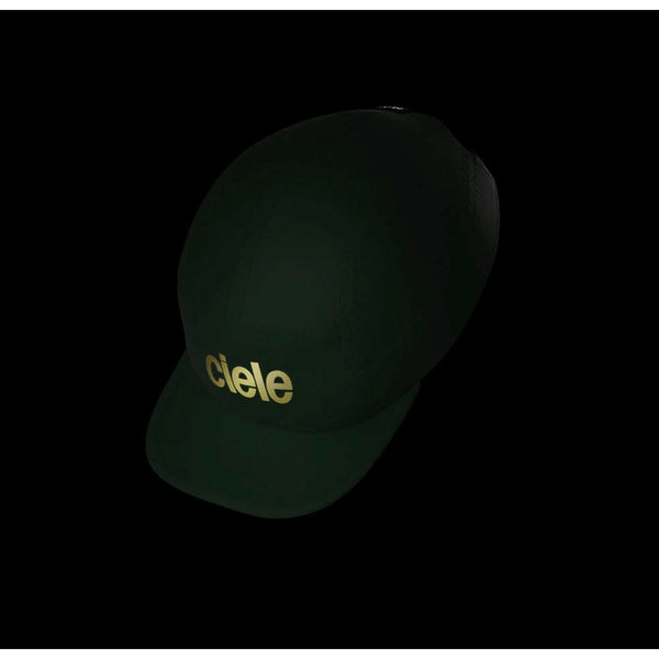 ALZCap - Standard Corp SL - Fortune