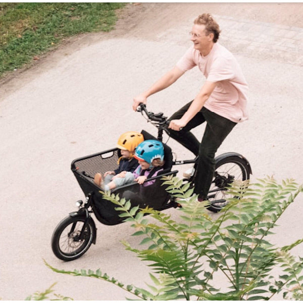 CARGO MULI MOTOR ST - COLORIS AU CHOIX