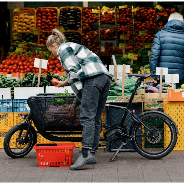 CARGO MULI MOTOR ST - COLORIS AU CHOIX