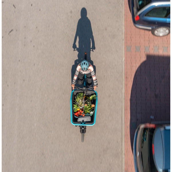 CARGO HYBRID 500 - BLUE N LIME