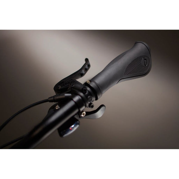 BOOST - CADRE "REGULAR", COULEUR TITANIUM GREY, MOTEUR BOSCH PERFORMANCE CX & BATTERIE 500 Wh