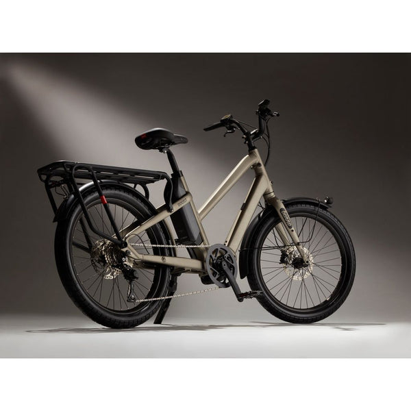 BOOST - CADRE "REGULAR", COULEUR TITANIUM GREY, MOTEUR BOSCH PERFORMANCE CX & BATTERIE 500 Wh