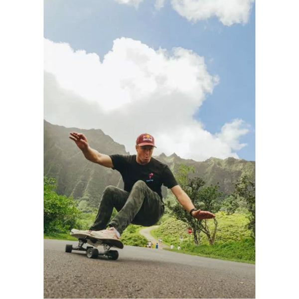 SURFSKATE  - J.O.B BLUE TIGER - 31"