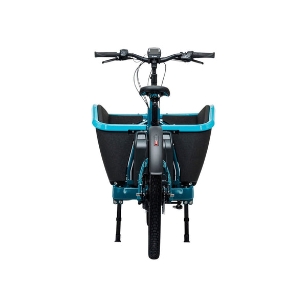 CARGO DUAL HYBRID 1000 - BLUE N LIME