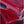 Charger l'image dans la galerie, VALISE "FLOYD CABIN" - COULEUR "BAHIA RED"