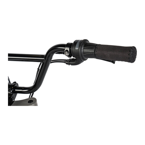 "BIGGIE" COLOR "DELIRIUM-SILVER" ENGINE & BOSCH BATTERY