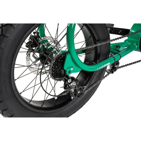 LIL'BUDDY - COULEUR DEVON GREEN, MOTEUR BOSCH PERFORMANCE CX, BATTERIE 500 Wh