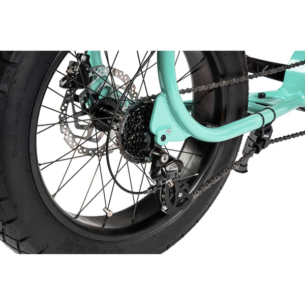 LIL'MISSY - COULEUR HOLLY, MOTEUR BOSCH ACTIVE LINE, BATTERIE 300 Wh