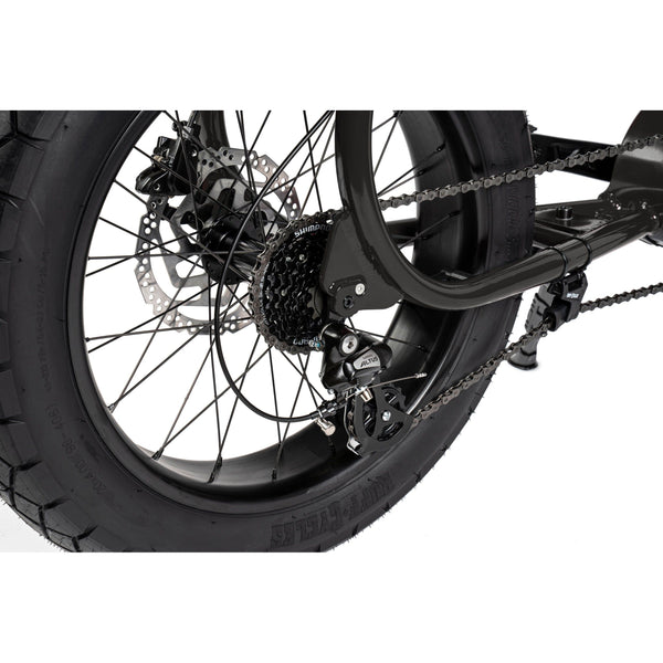 LIL'MISSY - COULEUR TRIPLE BLACK, MOTEUR BOSCH ACTIVE LINE, BATTERIE 300 Wh