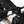 Load image into Gallery viewer, R Adventure - Sandstorm