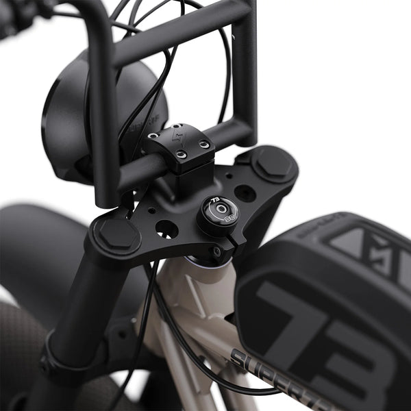 S2 - Couleur Sandstorm