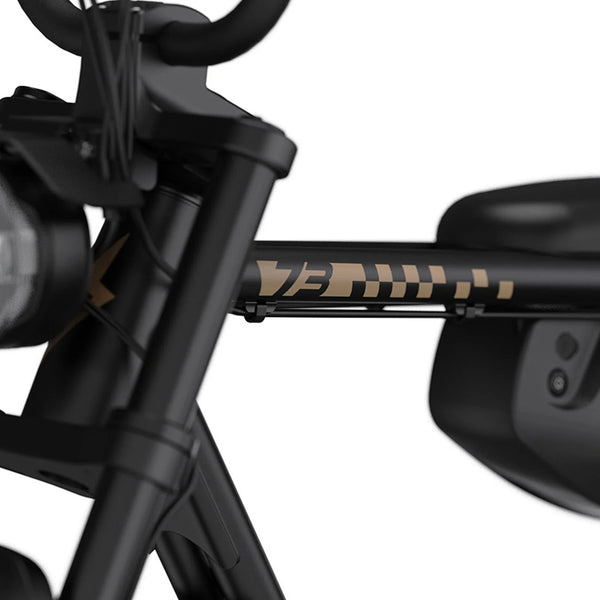 ZX SE - Couleur Bandit