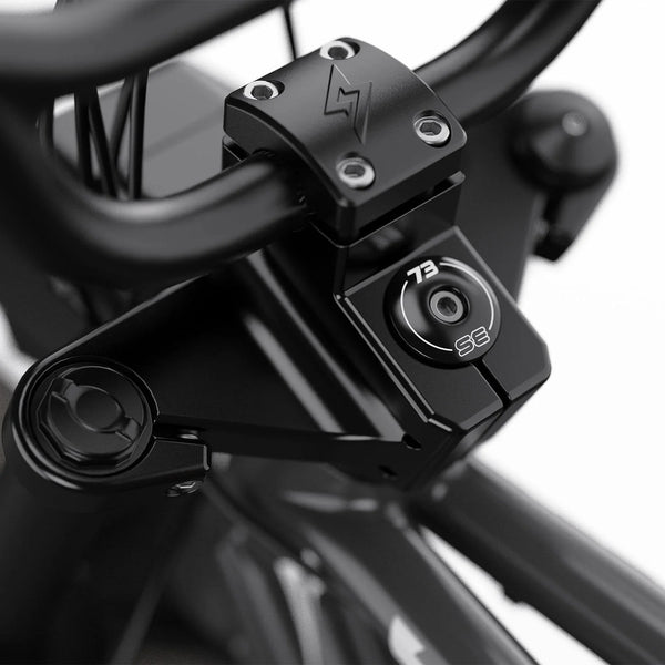 ZX SE - Couleur Palladium