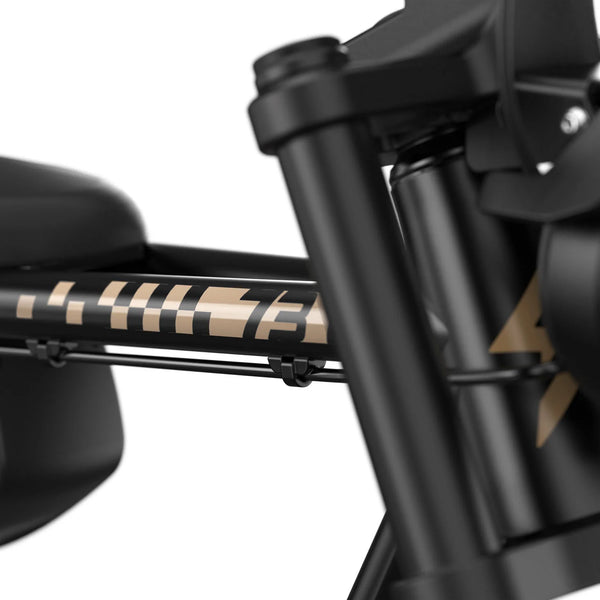 Z Miami SE - Couleur Bandit