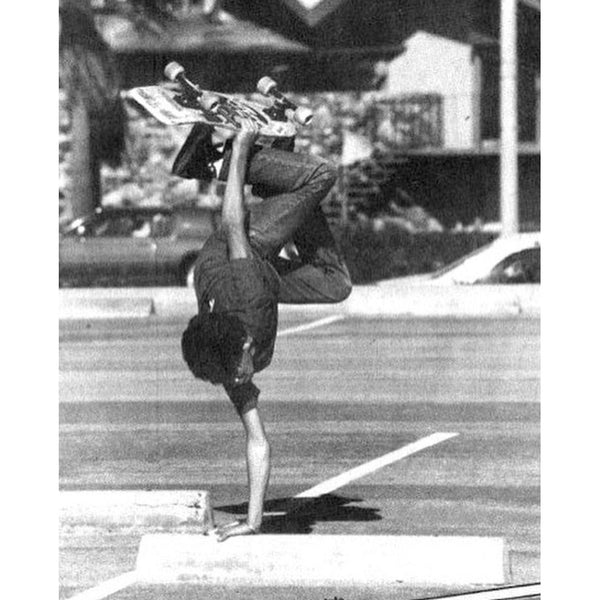 CURB PLANT, 8.5" - DESIGN BY MARK GONZALES