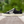 Charger l'image dans la galerie, CHAUSSURE HOMME "CATIBA PRO SKATE" BLACK/WHITE LOGO