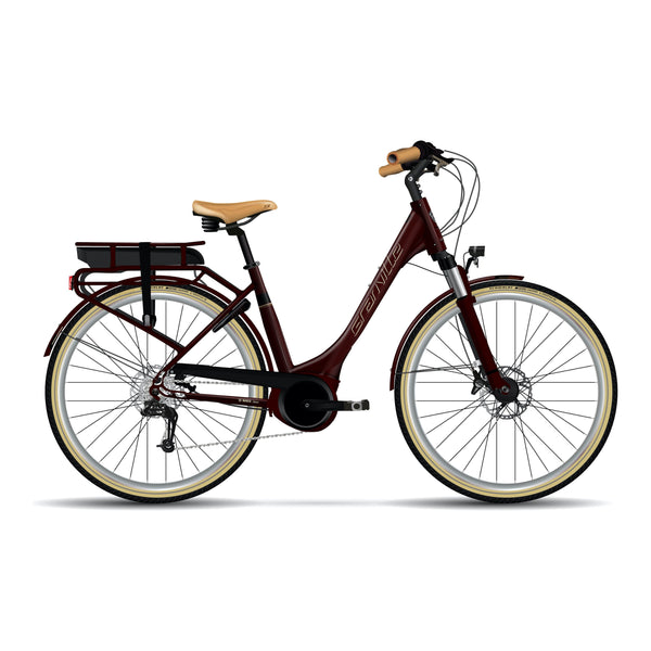 "E-SUMMERSIDE" BOSCH MOTOR & BATTERY