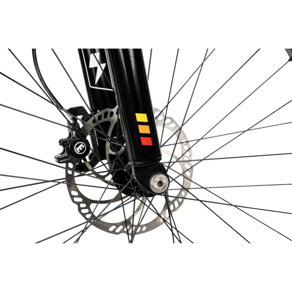 "BIGGIE" COLOR "MIDNIGHT BLACK" BOSCH MOTOR & BATTERY