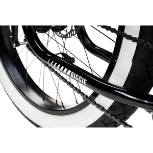 "BIGGIE" COLOR "MIDNIGHT BLACK" BOSCH MOTOR & BATTERY