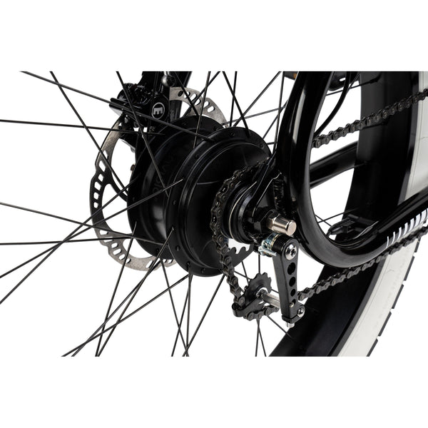 "BIGGIE" COLOR "MIDNIGHT BLACK" BOSCH MOTOR & BATTERY