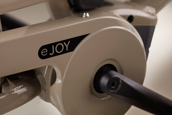 E-JOY - COULEUR PEBBLE BROWN, MOTEUR BOSCH PERFORMANCE & BATTERIE 400 Wh