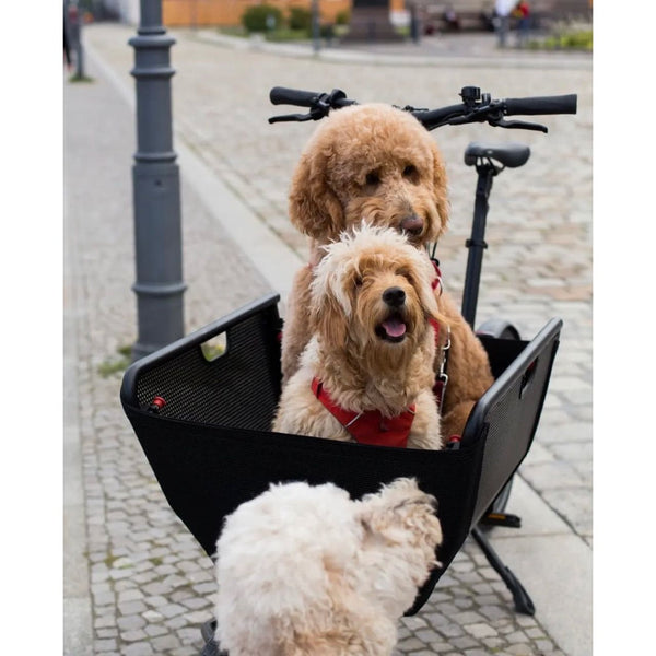 CARGO MULI MOTOR ST - COLORIS AU CHOIX