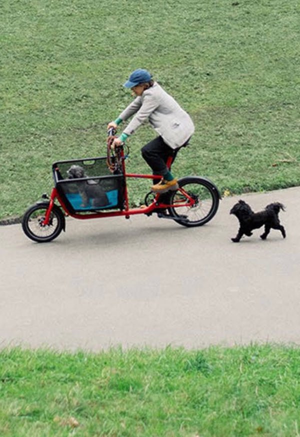 CARGO MULI MOTOR ST - COLORIS AU CHOIX