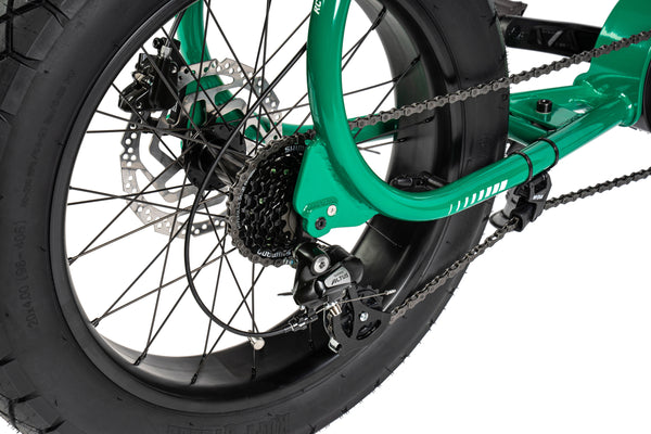 LIL'BUDDY - COULEUR DEVON GREEN, MOTEUR BOSCH PERFORMANCE CX, BATTERIE 500 Wh