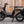 Load image into Gallery viewer, Ritmic Jumbo - Couleur Blanc Perlé

