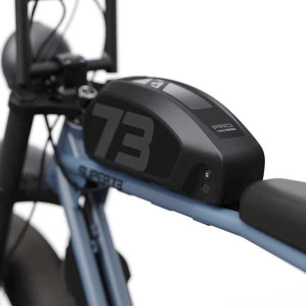 S2 - Couleur Panthro Blue
