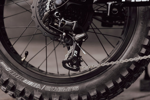 R Adventure SE - Palladium