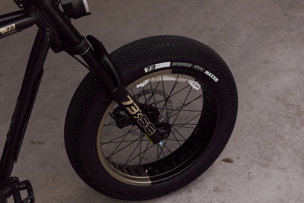 ZX SE - Couleur Bandit