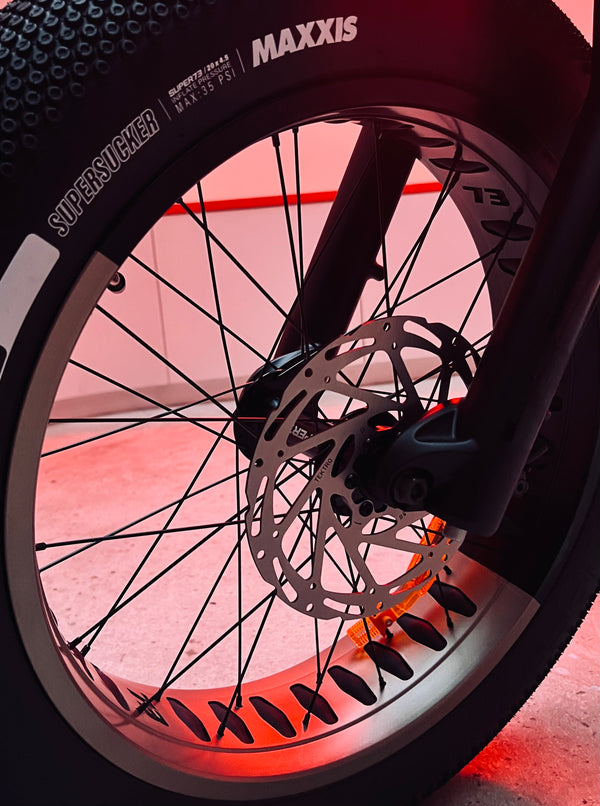 ZX SE - Couleur Bandit