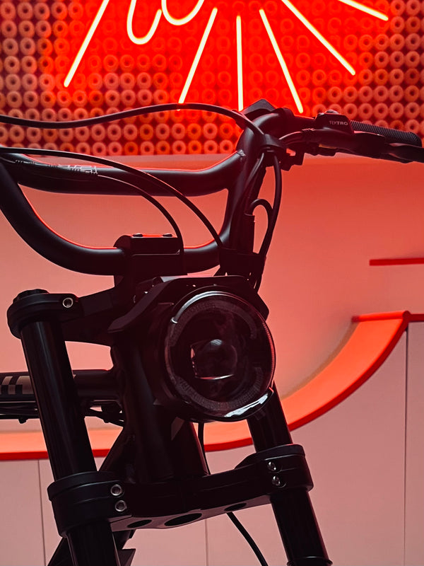 ZX SE - Couleur Bandit