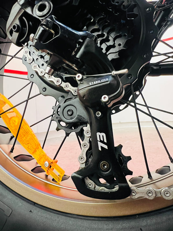 ZX SE - Couleur Bandit