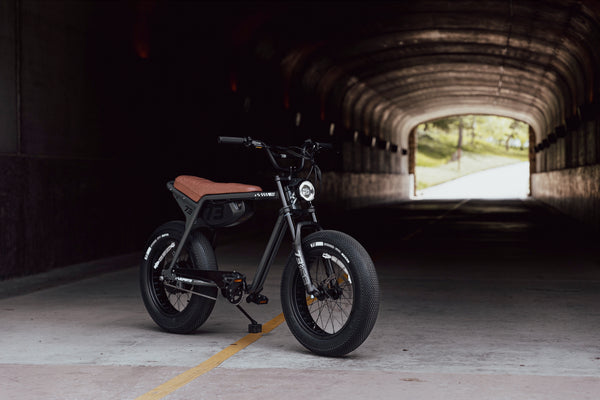 ZX SE - Couleur Palladium