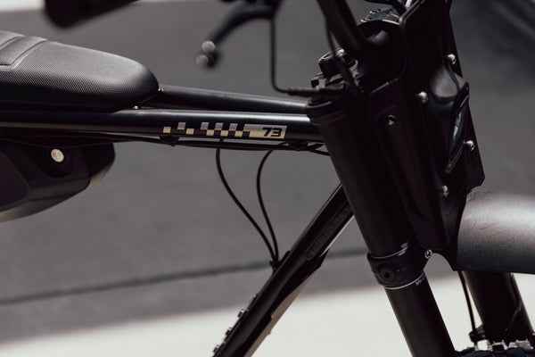 Z Adventure SE - Couleur Bandit