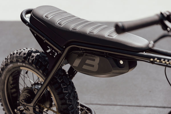 Z Adventure SE - Couleur Bandit