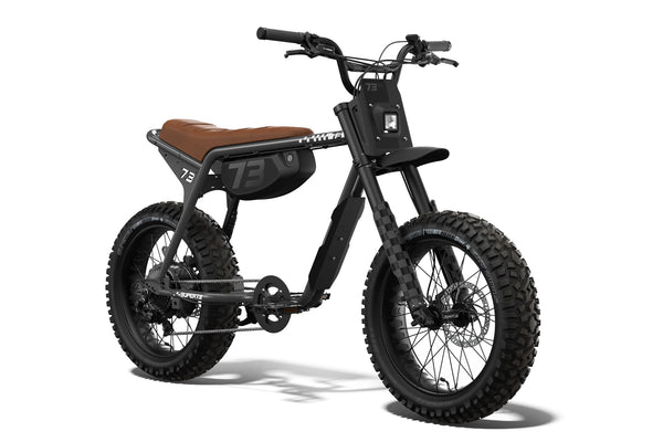 Z Adventure SE - Couleur Palladium