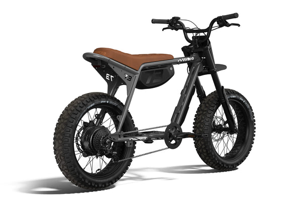 Z Adventure SE - Couleur Palladium