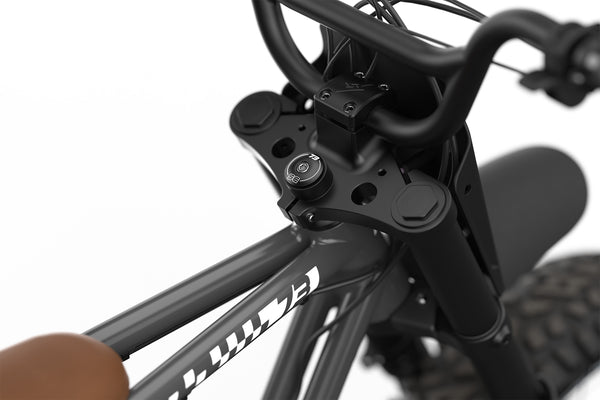 Z Adventure SE - Couleur Palladium