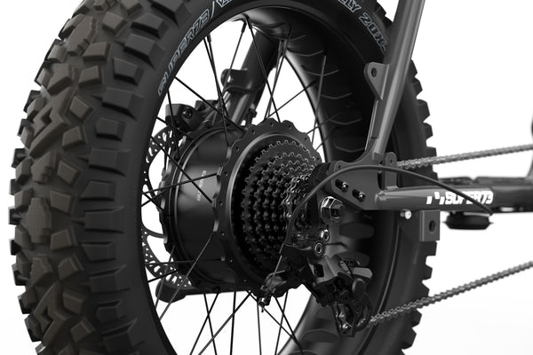 Z Adventure SE - Couleur Palladium