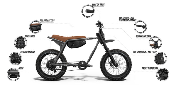 Z Adventure SE - Couleur Palladium
