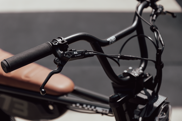 Super73 Z Miami SE Palladium 7