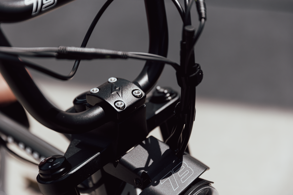 Super73 Z Miami SE Palladium 8