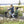 Load image into Gallery viewer, Siège passager "Captain's Chair" pour vélo longtail Tern
